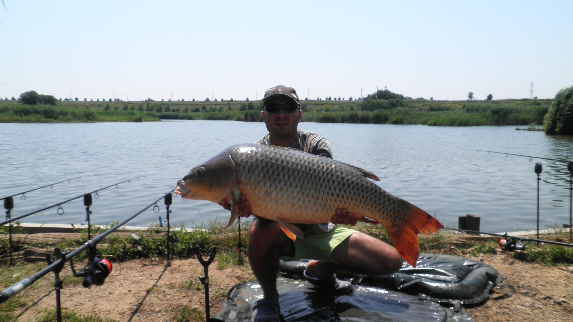 Tancabesti - p7100110.JPG